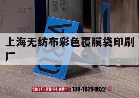 上海無(wú)紡布彩色覆膜袋印刷廠｜上海無(wú)紡布彩色覆膜袋印刷廠家電話