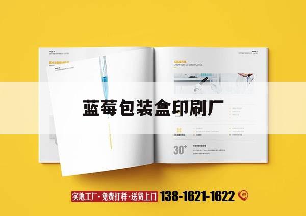 藍莓包裝盒印刷廠｜藍莓包裝設(shè)計
